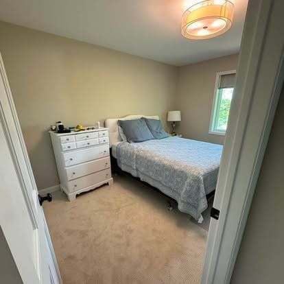 Bedroom with a drum ceiling light, neutral paint, new carpet and a window